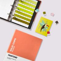 PANTONE  光面銅版紙 膠版紙 GP1606B SOLID CHIPS COATED UNCOATED