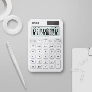 Casio MS-20YC-WE 12位計數機