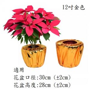 12吋 金色花盆套 10個裝