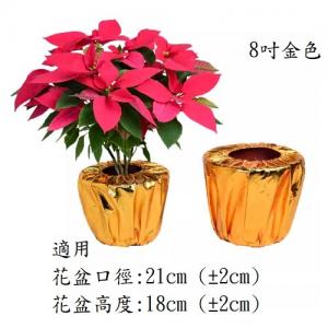 8吋 金色花盆套 10個裝